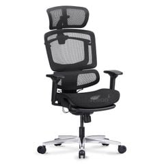 Ghế Công thái học Ergonomic GT Open (with Footrest)