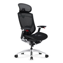 Ghế Công Thái Học Ergonomic GTChair IFIT