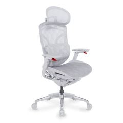 Ghế Công Thái Học Ergonomic GTChair Dvary Butterfly Ultra