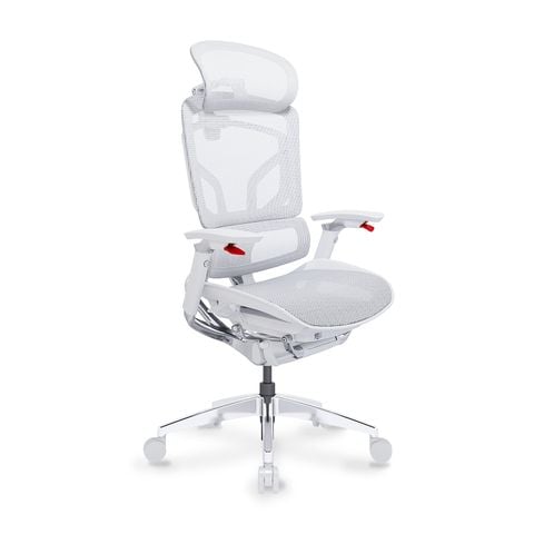  Ghế Công Thái Học Ergonomic GTChair Alien Space Grey 