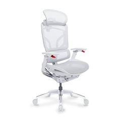 Ghế Công Thái Học Ergonomic GTChair Alien Space Grey