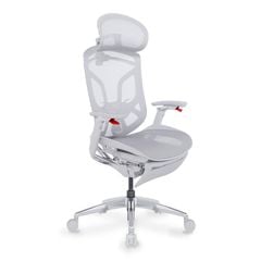 Ghế Công Thái Học Ergonomic GTChair Dvary Butterfly X (with Footrest)