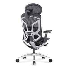 Ghế Công Thái Học Ergonomic GTChair Dvary Butterfly Ultra
