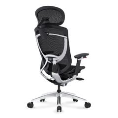 Ghế Công Thái Học Ergonomic GTChair IFIT