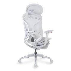Ghế Công Thái Học Ergonomic GTChair Dvary Butterfly X (with Footrest)