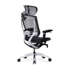 Ghế Công thái học Cao Cấp GTChair Marrit X Plus