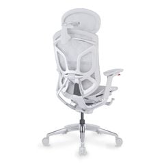 Ghế Công Thái Học Ergonomic GTChair Dvary Butterfly Ultra