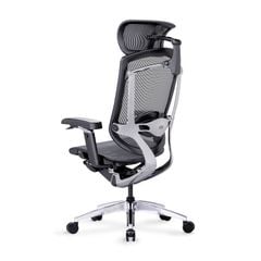 Ghế Công thái học Cao Cấp GTChair Marrit X Plus