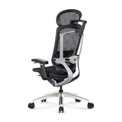 Ghế Công thái học Ergonomic GTChair Marrit X Pro