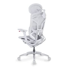 Ghế Công Thái Học Ergonomic GTChair Dvary Butterfly Ultra