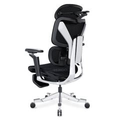 Ghế Công thái học ErgoStuhl Max 1 (with Footrest)