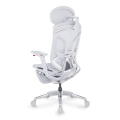 Ghế Công Thái Học Ergonomic GTChair Dvary Butterfly X (with Footrest)
