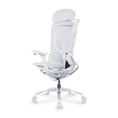 Ghế Công Thái Học Ergonomic GTChair Alien Space Grey