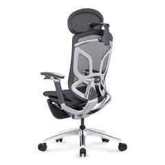 Ghế Công Thái Học Ergonomic GTChair Dvary Butterfly X (with Footrest)