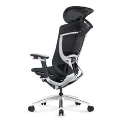 Ghế Công Thái Học Ergonomic GTChair IFIT