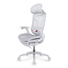 Ghế Công Thái Học Ergonomic GTChair Dvary Butterfly X (with Footrest)
