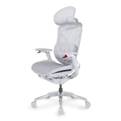 Ghế Công Thái Học Ergonomic GTChair Dvary Butterfly Ultra