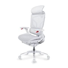 Ghế Công Thái Học Ergonomic GTChair Alien Space Grey