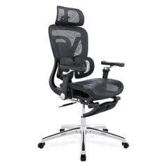 Ghế công thái học Ergonomic DERGO ErgoX G10 6D