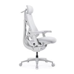 Ghế Công Thái Học LiberNovo Omni Pro