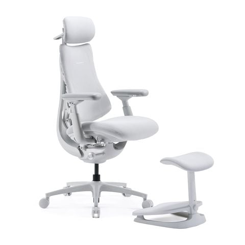  Ghế Công Thái Học LiberNovo Omni Pro 