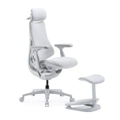 Ghế Công Thái Học LiberNovo Omni Pro