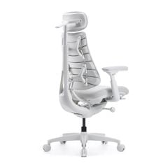 Ghế Công Thái Học LiberNovo Omni GEN