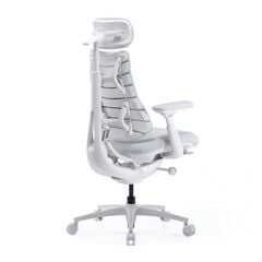 Ghế Công Thái Học LiberNovo Omni Pro