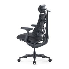 Ghế Công Thái Học LiberNovo Omni Pro