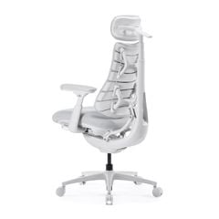 Ghế Công Thái Học LiberNovo Omni Pro