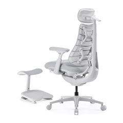 Ghế Công Thái Học LiberNovo Omni Pro