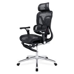 Ghế công thái học Ergonomic DERGO ErgoX G10 6D