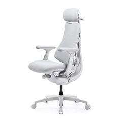 Ghế Công Thái Học LiberNovo Omni Pro
