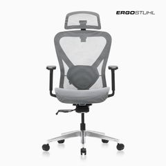 Ghế Văn Phòng Cao Cấp Ergonomic ErgoStuhl Q1