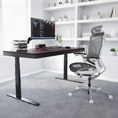 Combo Bàn Ghế Công Thái Học Premium Ergo Workspace