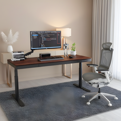 Combo Bàn Ghế Công Thái Học Premium Ergo Workspace