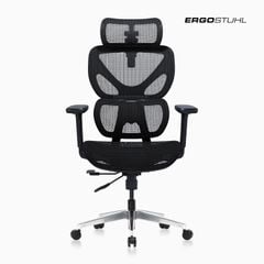 Ghế Công thái học ErgoStuhl S1
