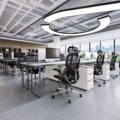 Ghế Công thái học ErgoStuhl S3