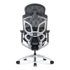 Ghế Công Thái Học Ergonomic GTChair Dvary Butterfly Ultra