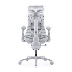 Ghế Công Thái Học LiberNovo Omni Pro