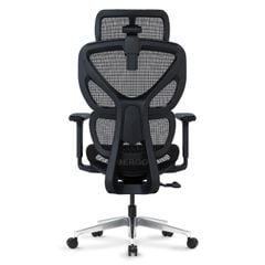 Ghế Công thái học ErgoStuhl S1