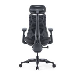Ghế Công Thái Học LiberNovo Omni Pro