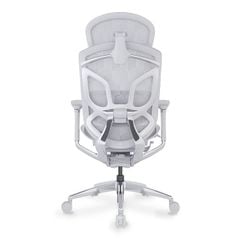 Ghế Công Thái Học Ergonomic GTChair Dvary Butterfly Ultra