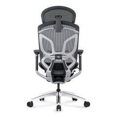 Ghế Công Thái Học Ergonomic GTChair Dvary Butterfly X (with Footrest)