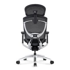 Ghế Công Thái Học Ergonomic GTChair IFIT