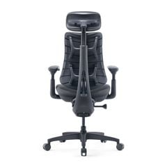 Ghế Công Thái Học LiberNovo Omni GEN
