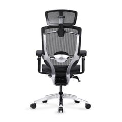 Ghế Công thái học Cao Cấp GTChair Marrit X Plus