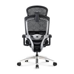 Ghế Công thái học Ergonomic GTChair Marrit X Pro