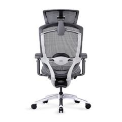 Ghế Công thái học Cao Cấp GTChair Marrit X Plus