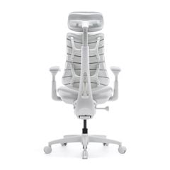 Ghế Công Thái Học LiberNovo Omni GEN